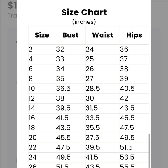 Avery Austin dress 80091 in size 6 petite (never worn) - Picture 2 of 5